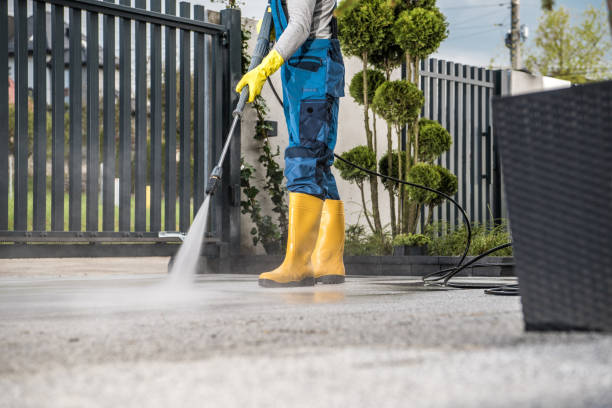 Best Window and Screen Pressure Cleaning in Timpson, TX