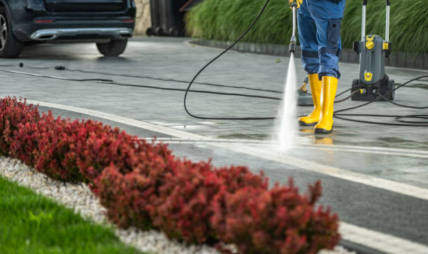 Best Pool Deck Cleaning in Timpson, TX