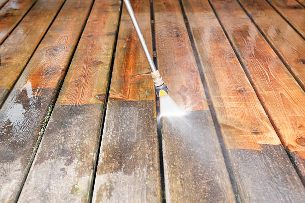 Best Roof Cleaning and Mildew Removal in Timpson, TX